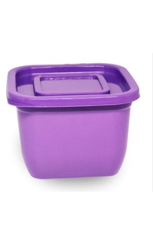 12) PLASTICO ORGANIZADOR RETANGULAR 3.7L INPLAST PC/24